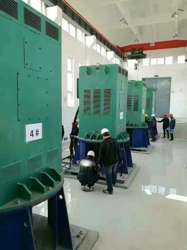 YKK6303-4某污水处理厂使用我厂的立式高压电机安装现场